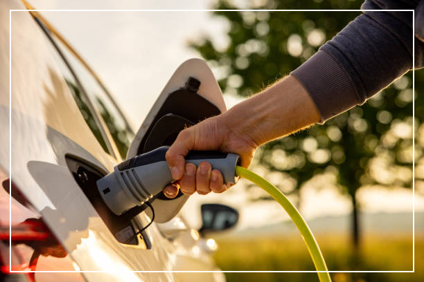 전기차 무상점검