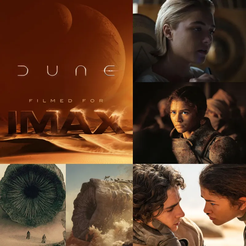 듄: 파트 2 주인공들이 등장하는 주요 장면들