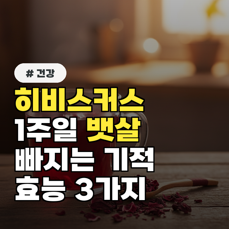 히비스커스, 1주일 만에 뱃살 빠지는 기적! 놀라운 효능 3가지
