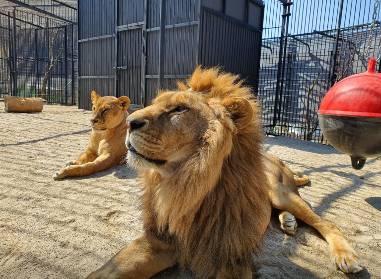 아침고요가족동물원1