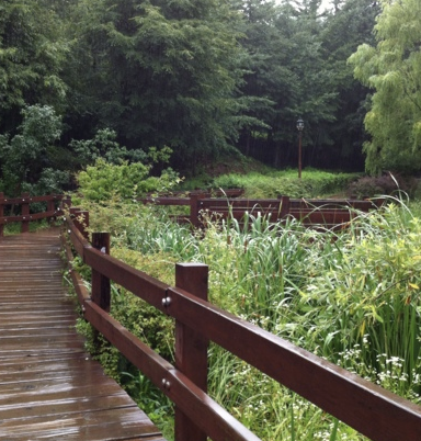 감로천생태공원 이미지