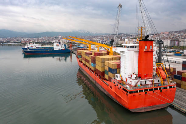 비트버니 퀴즈 정답 4월15일 사용법