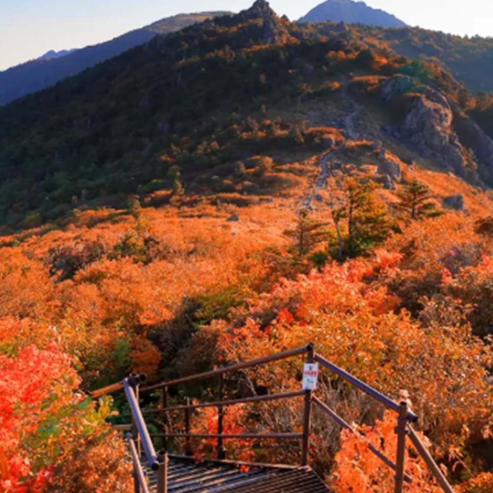 지리산 단풍 절정시기