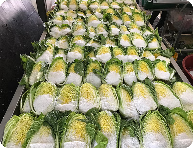 해남 (절임)배추 (10kg)이미지/ 출처: