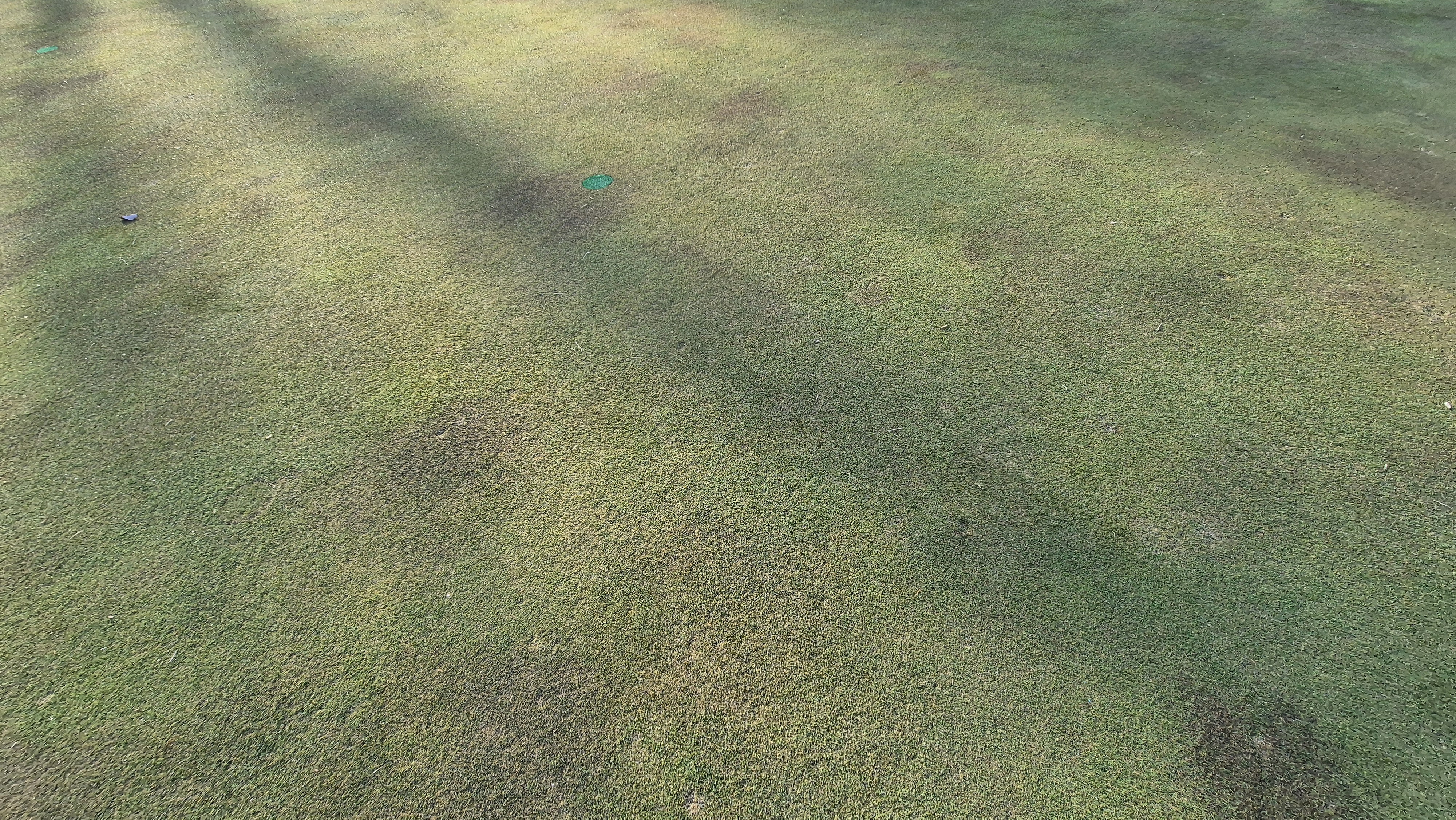 88cc 서코스 그린관리상태