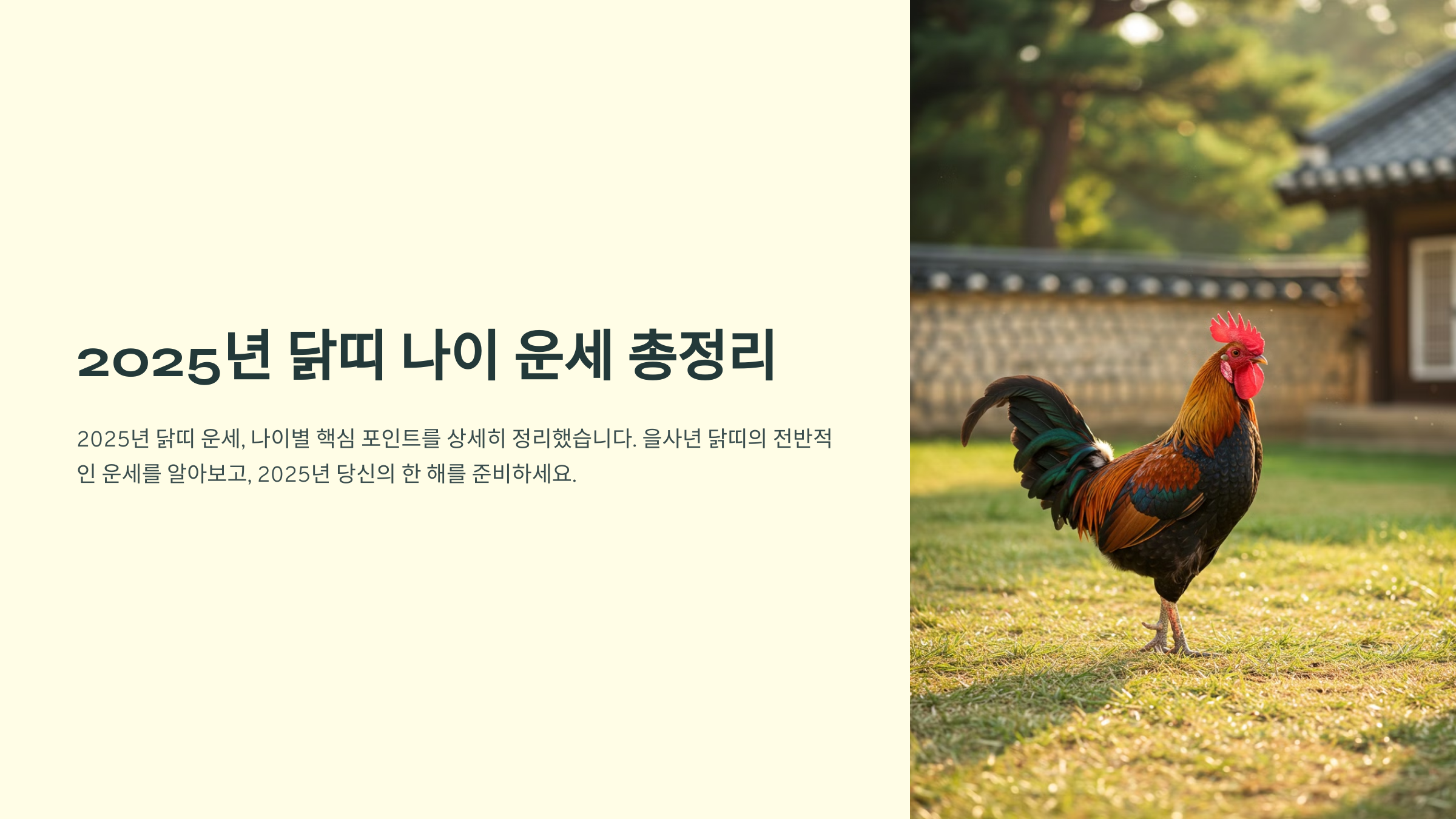 닭띠나이 운세 총정리