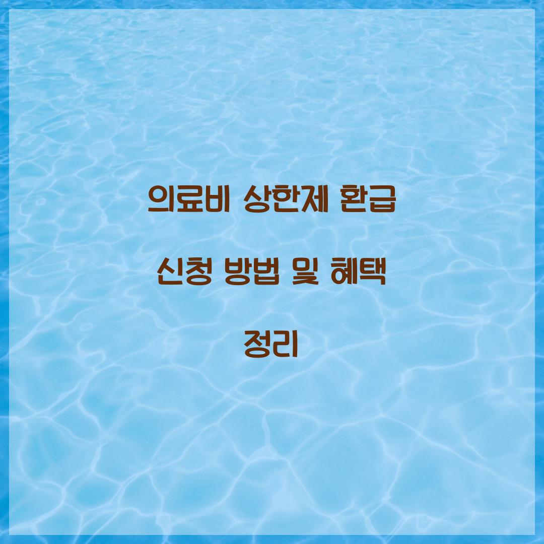 의료비 상한제 환급