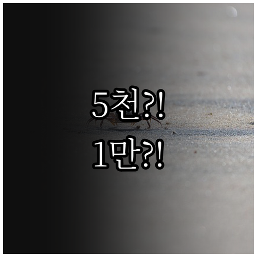 K5 엔진오일 5천km? 1만km? ..