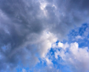 13호 가지키와 14호 넝파 비교