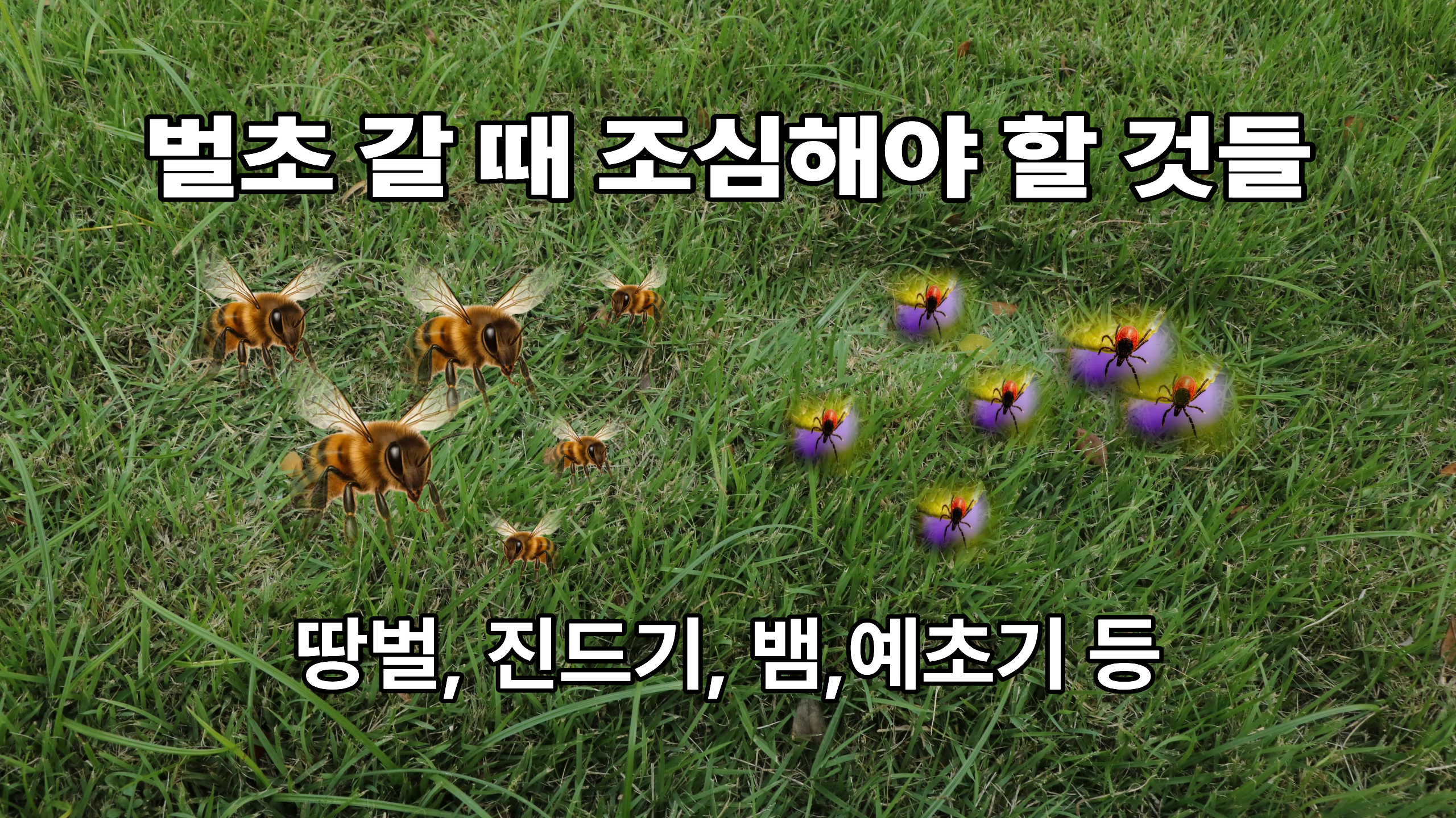벌초 갈 때 조심해야 할 것들