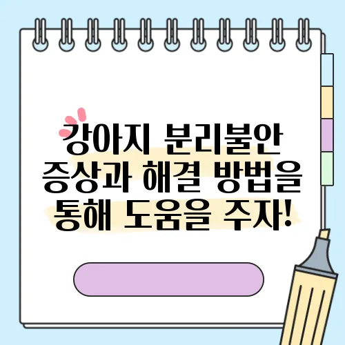 강아지 분리불안 증상과 해결 방법을 통해 도움을 주자!