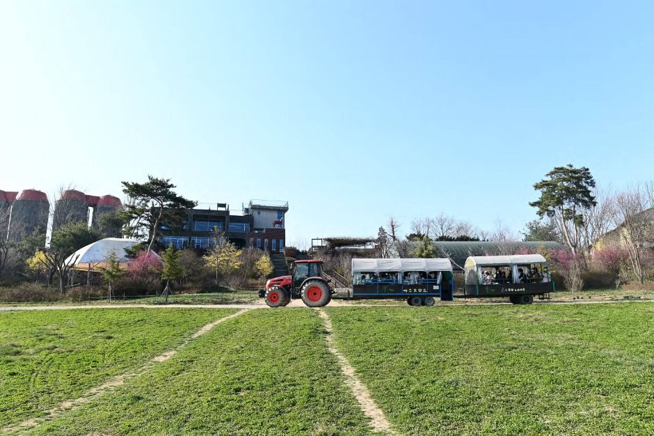 예산 가볼만한곳 베스트10