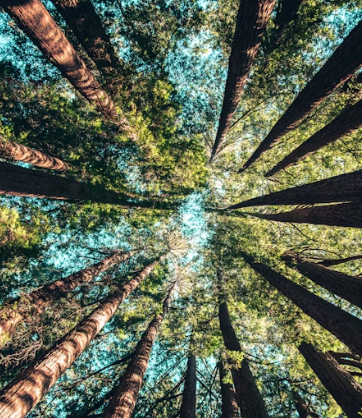 기후동행카드 신청방법, 판매처, 사용법, 충전방법, 할인