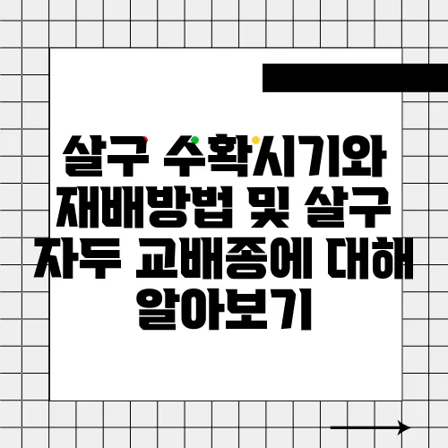 살구 수확시기와 재배방법 및 살구 자두 교배종에 대해 알아보기