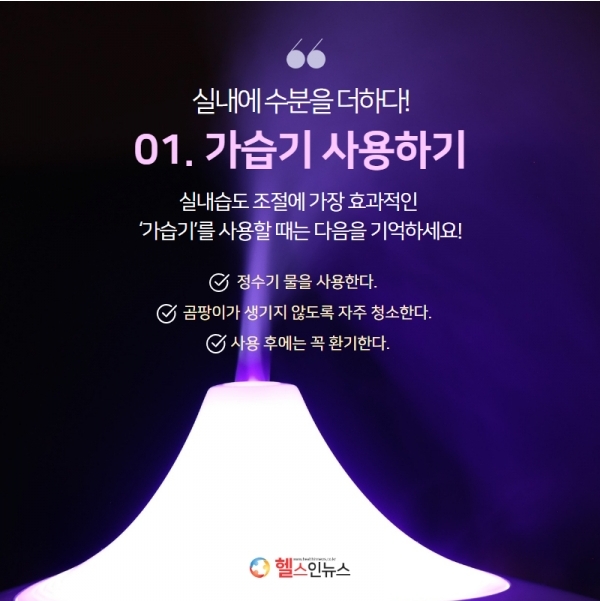 식물, 숯, 솔방울을 이용한 자연 가습 방법