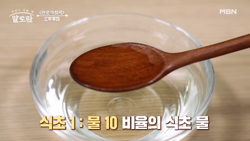 꼬막 해감