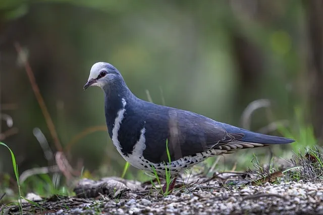 반증 방증 뜻 차이 맞춤법 한자_1