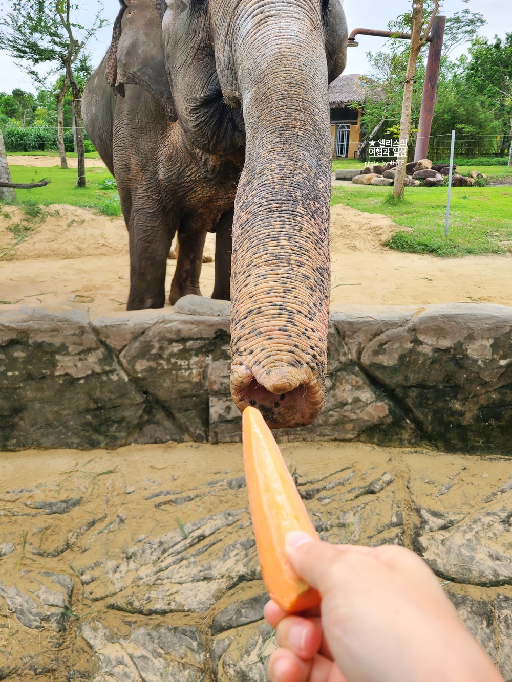 베트남 남호이안 빈원더스 사파리 후기 가격 할인입장권 예약 리버