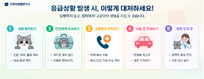 개냥이 호흡곤란·중독·출혈·경련 등 응급상황 대처법 바로 병원에 가야 하는 증상 총정리