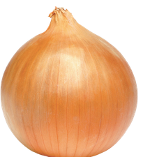 기침에 좋은 음식