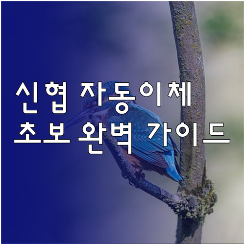 신협 자동이체, 이렇게 쉬웠어? 초보..