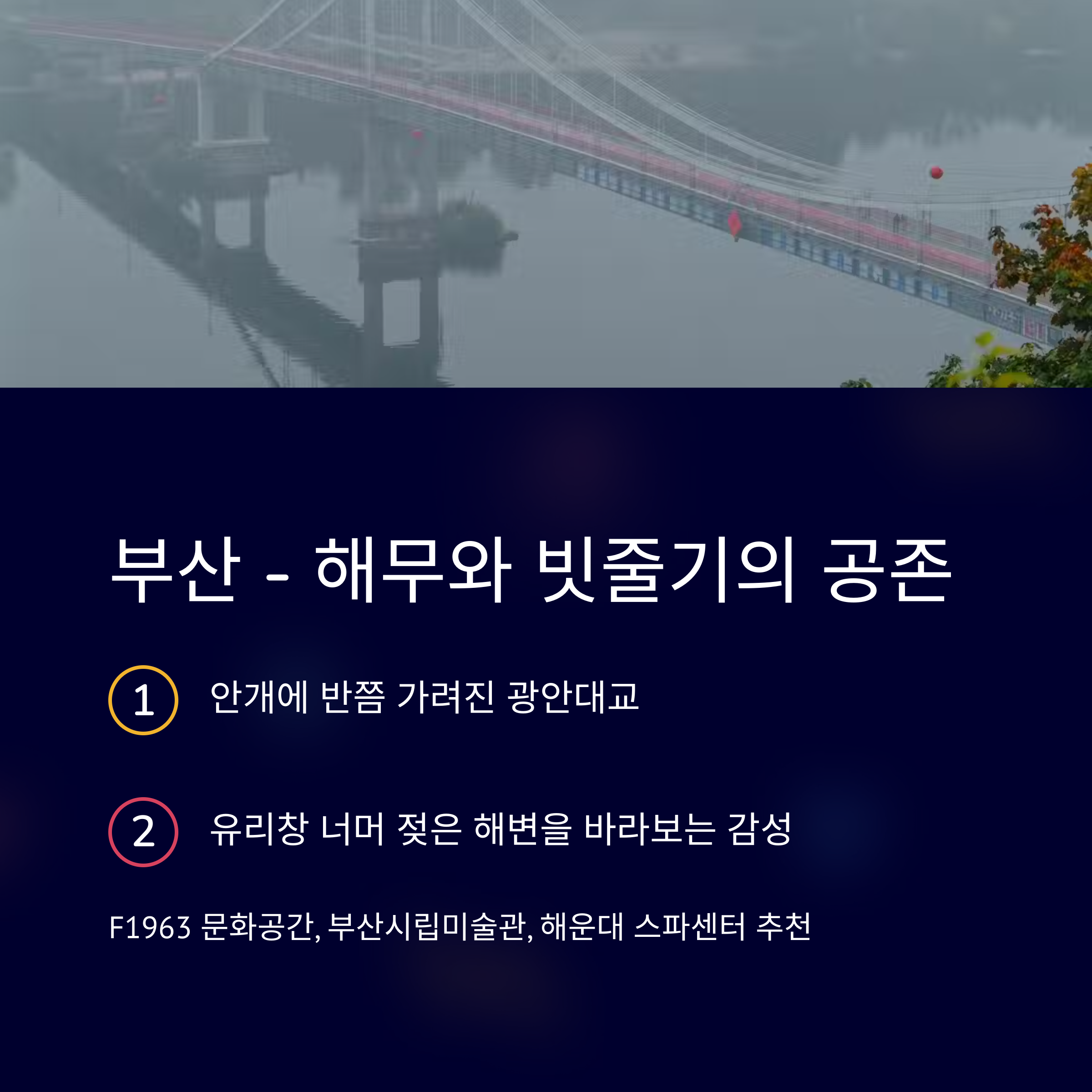 비오는날 부산