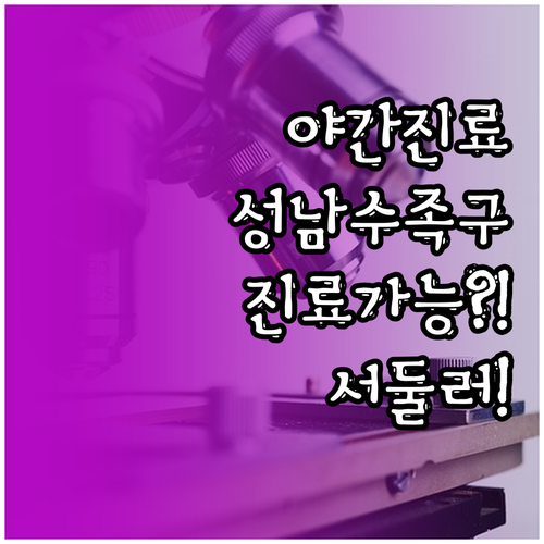 성남 수정구 야간 진료 가능한 수족구..