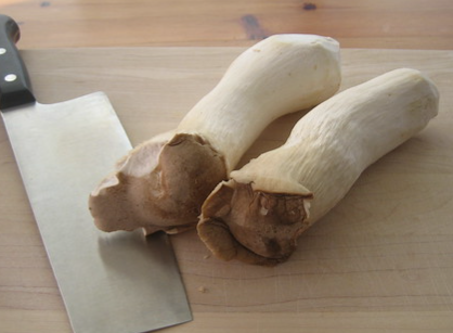 새송이버섯_손질