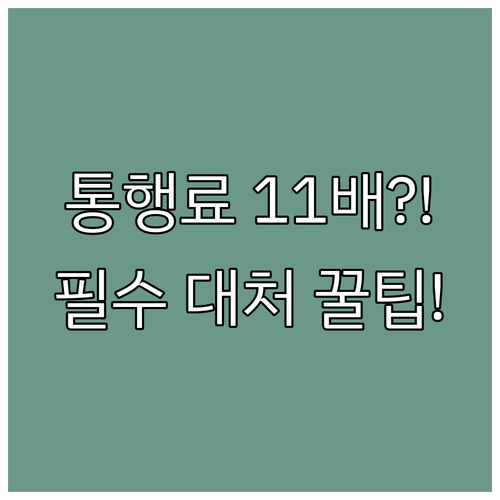 미납 통행료 납부 기한 경과 시 원금..