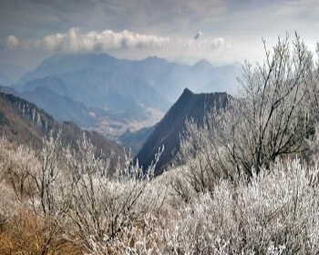 비슬산 자연휴양림_15