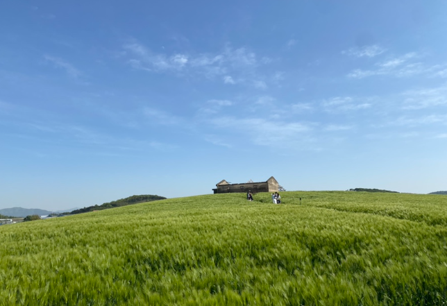 보령 아파트 단지별 상세 분석 &mdash; 실제 거주 기준으로 보는 주요 아파트 단지