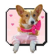 킥킥킥킥 출연진-킥