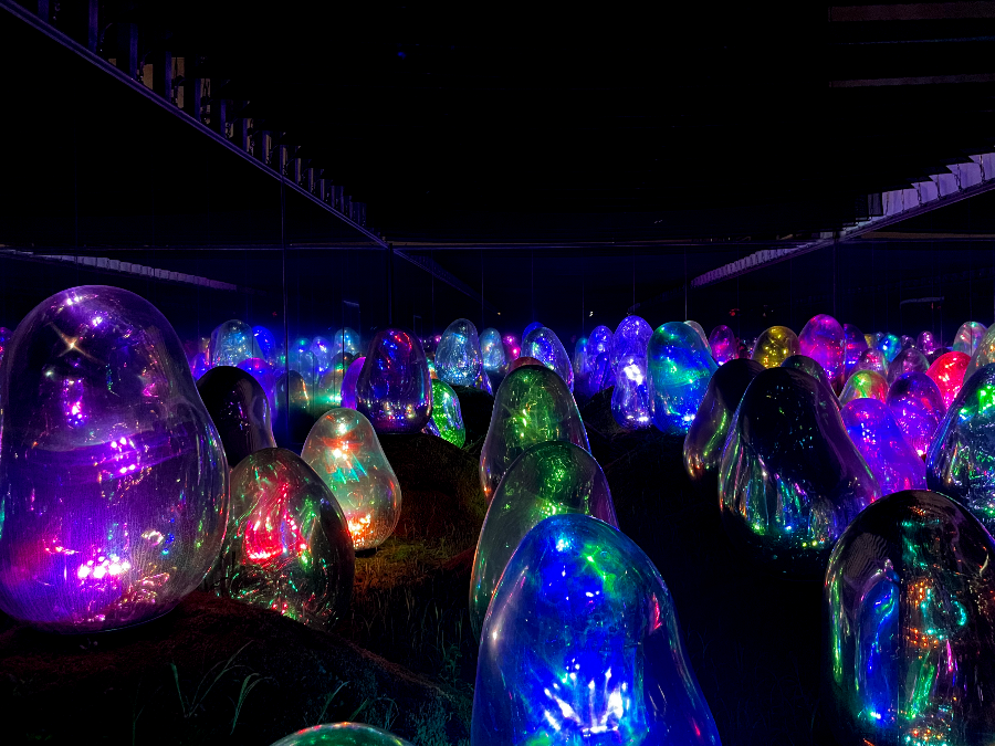 팀랩플래닛 관람 이끼 정원 속 공명하는 소우주, 고체화된 라이트 컬러