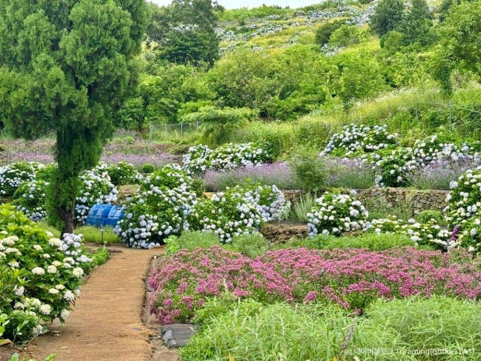 지세포진성 꽃동산