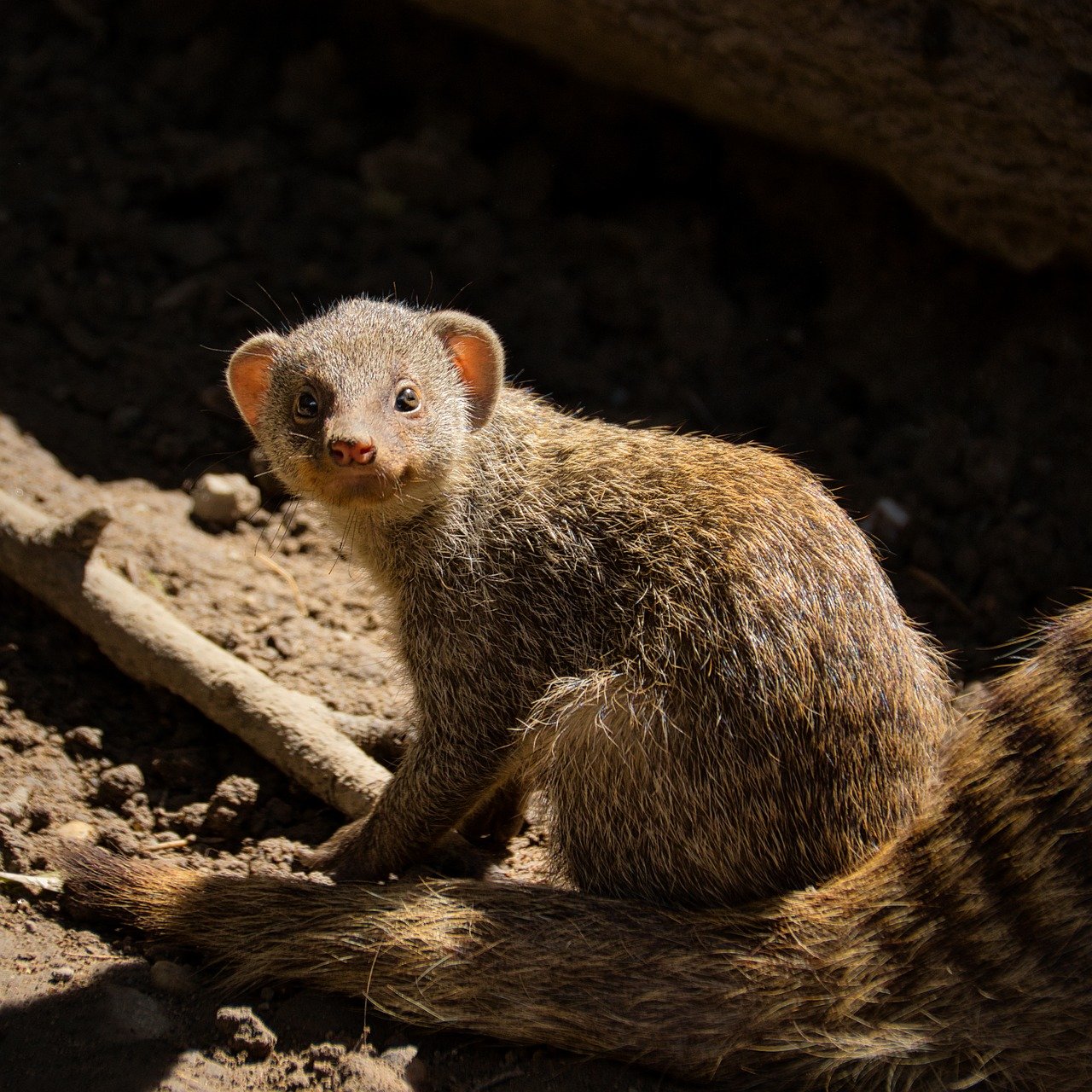 인간과 영혼의 세계를 연결하는 영화 유령신부