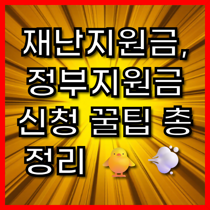재난지원금, 정부지원금 신청 꿀팁 총정리 🐥💨