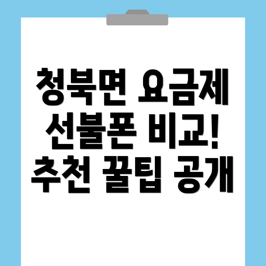 선불폰 요금제