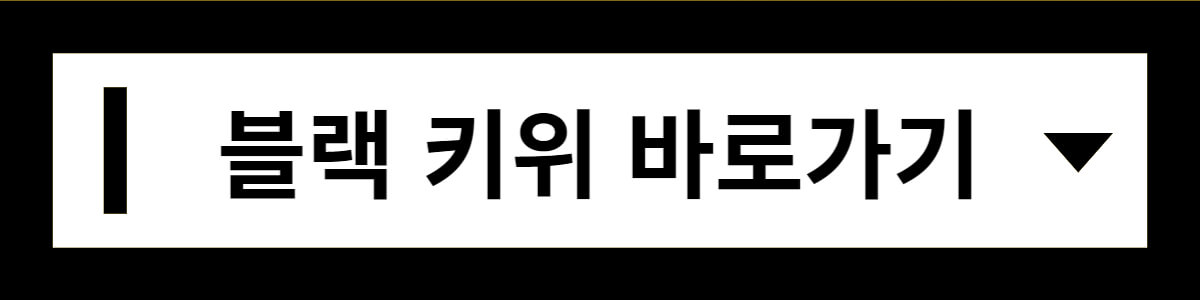 블랙키위-바로가기