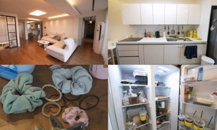 개그맨-임우일-집