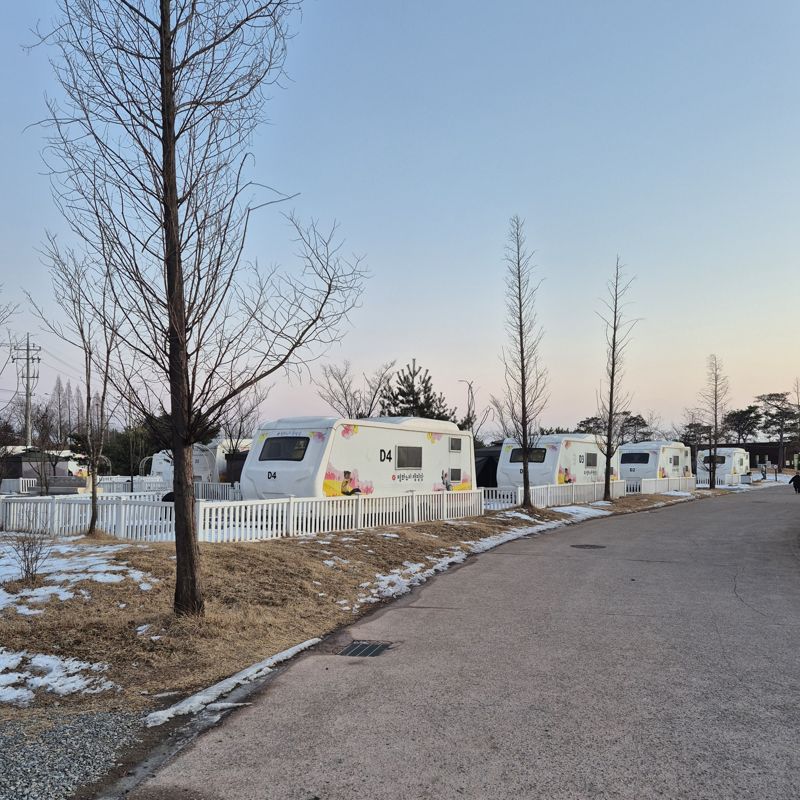 Campground view D zone, 평화누리캠핑장 카라반 D존