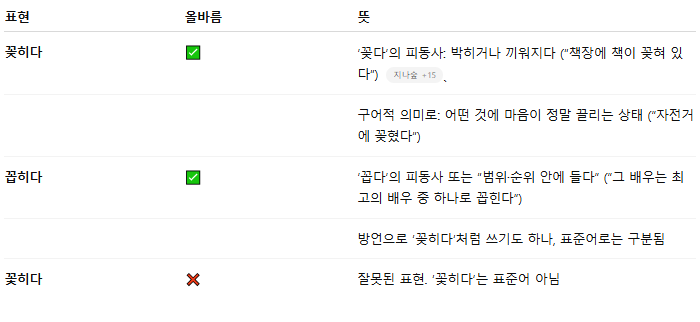 꽂히다 뜻 영어로 꽃히다 꼽히다 올바른 맞춤법 차이점 다른말 총정리1