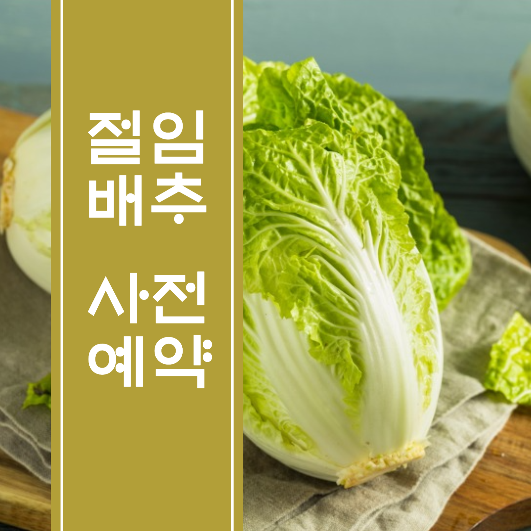 절임배추 사전예약