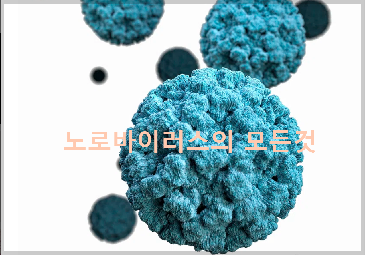 노로바이러스