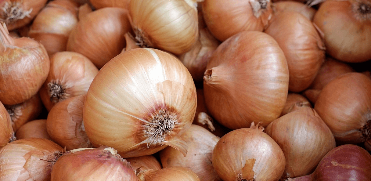 칼륨 많은 음식 사진 - 120