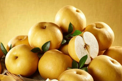 과일 배 효능 보관방법, 맛있는 배 고르는 방법