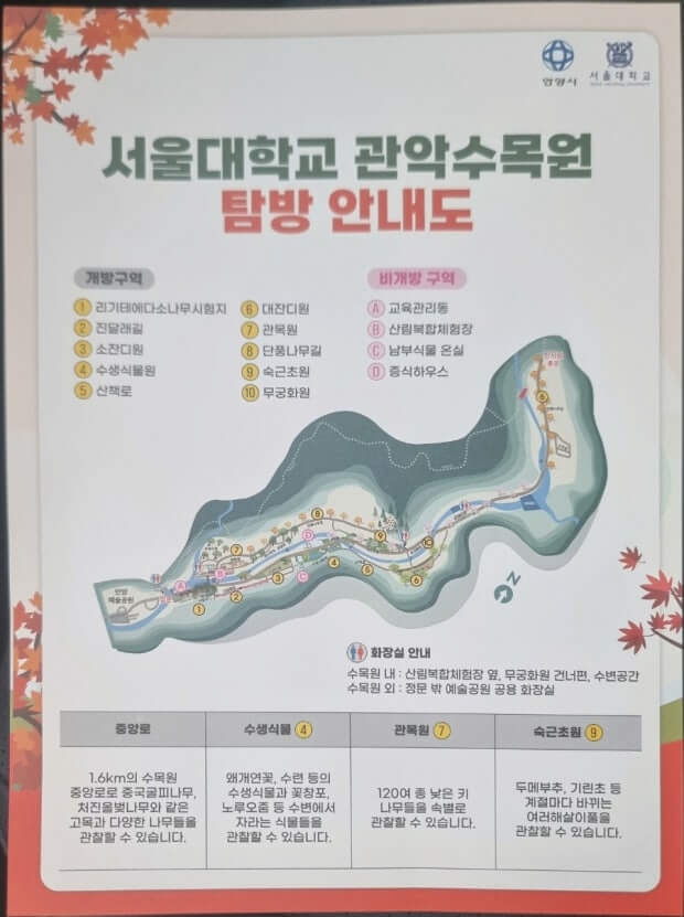 58년 만에 열린 서울대 관악수목원(안양수목원) 단풍 사진