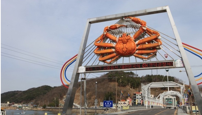 영덕대게박물관 완전 관람 가이드 ❘ 이용 정보·체험 팁·관람 루트 총정리