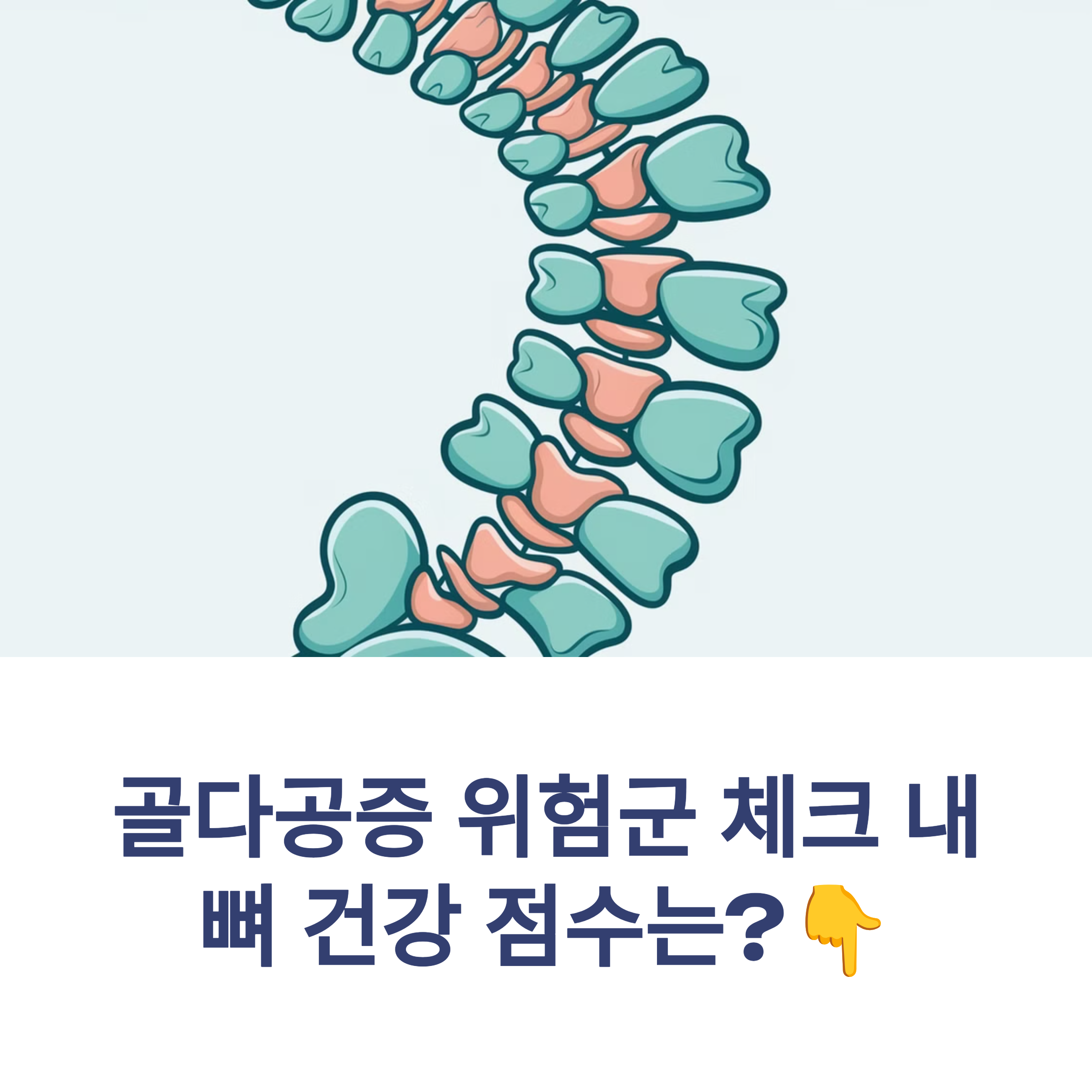 골다공증 위험군 체크 – 내 뼈 건강 점수는?