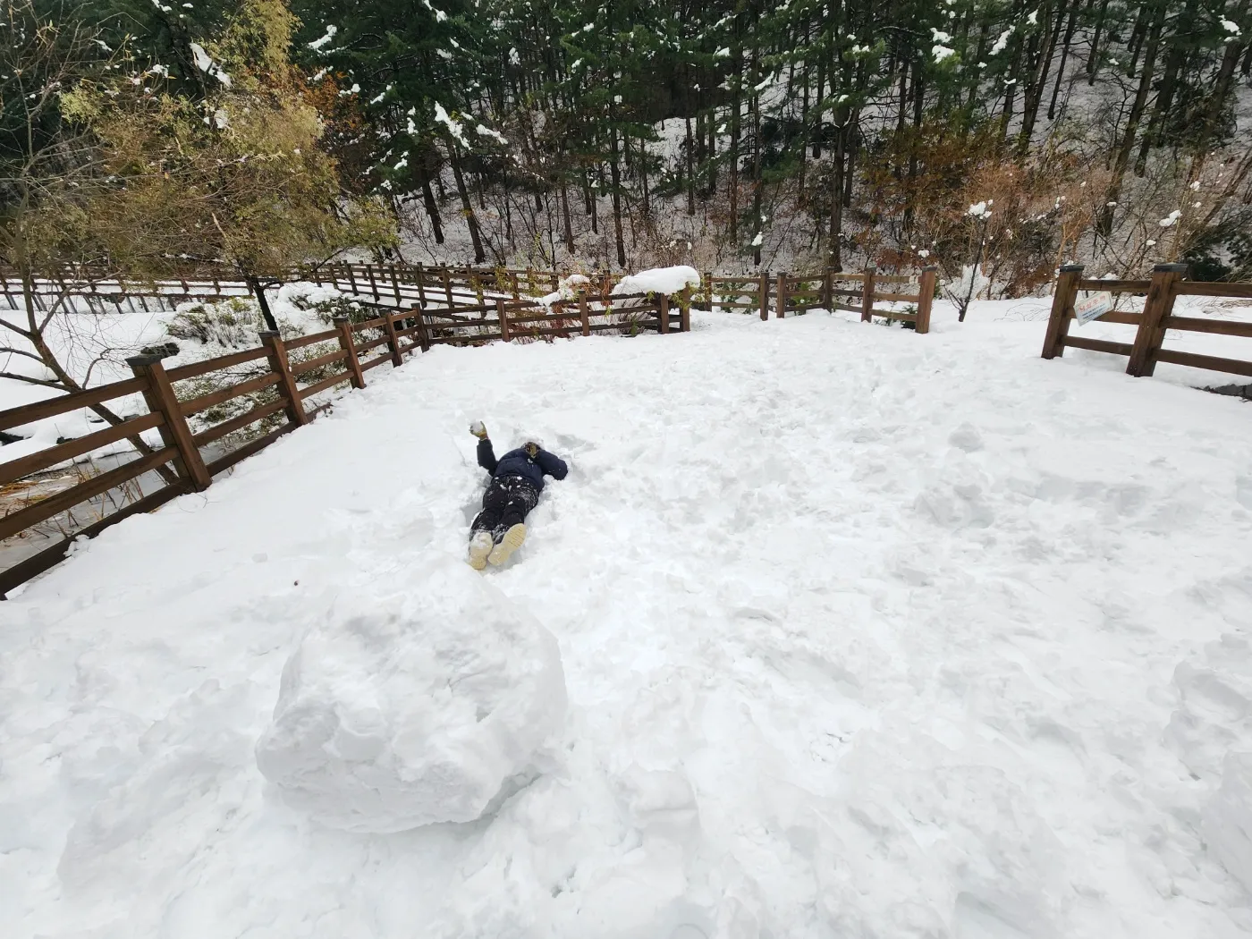 수리산-매쟁이골-습지데크