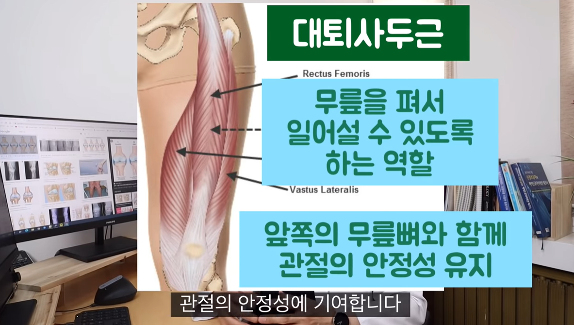 대퇴사두근